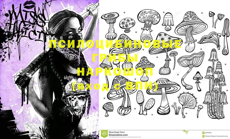 дарнет шоп  Бор  Псилоцибиновые грибы Psilocybine cubensis 